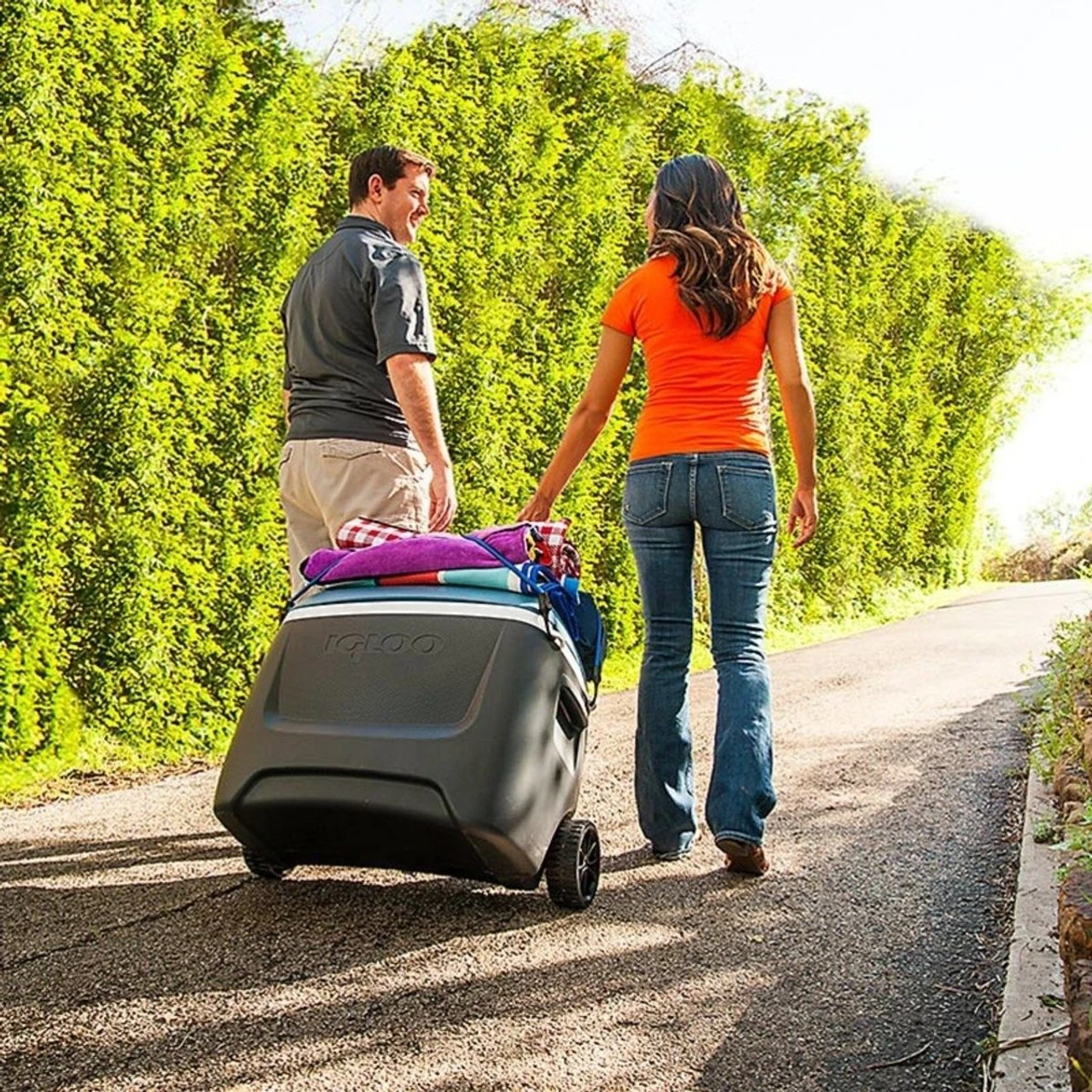 Igloo Island Breeze MaxCold 50 Wheeled Portable Ice Chest 2 Igloo Island Breeze MaxCold 50 Wheeled Portable Ice Chest - Image 2