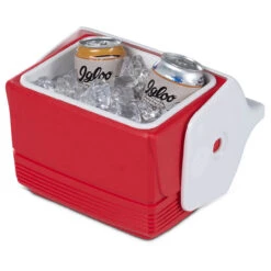 Igloo Playmate Mini Compact 3 Litre Red Lunch Cool Box -Camping Equipment Store Igloo Playmate Mini Compact Portable School Kids Lunch Cool Box Red Ice White 50321 05 55552.1642426498