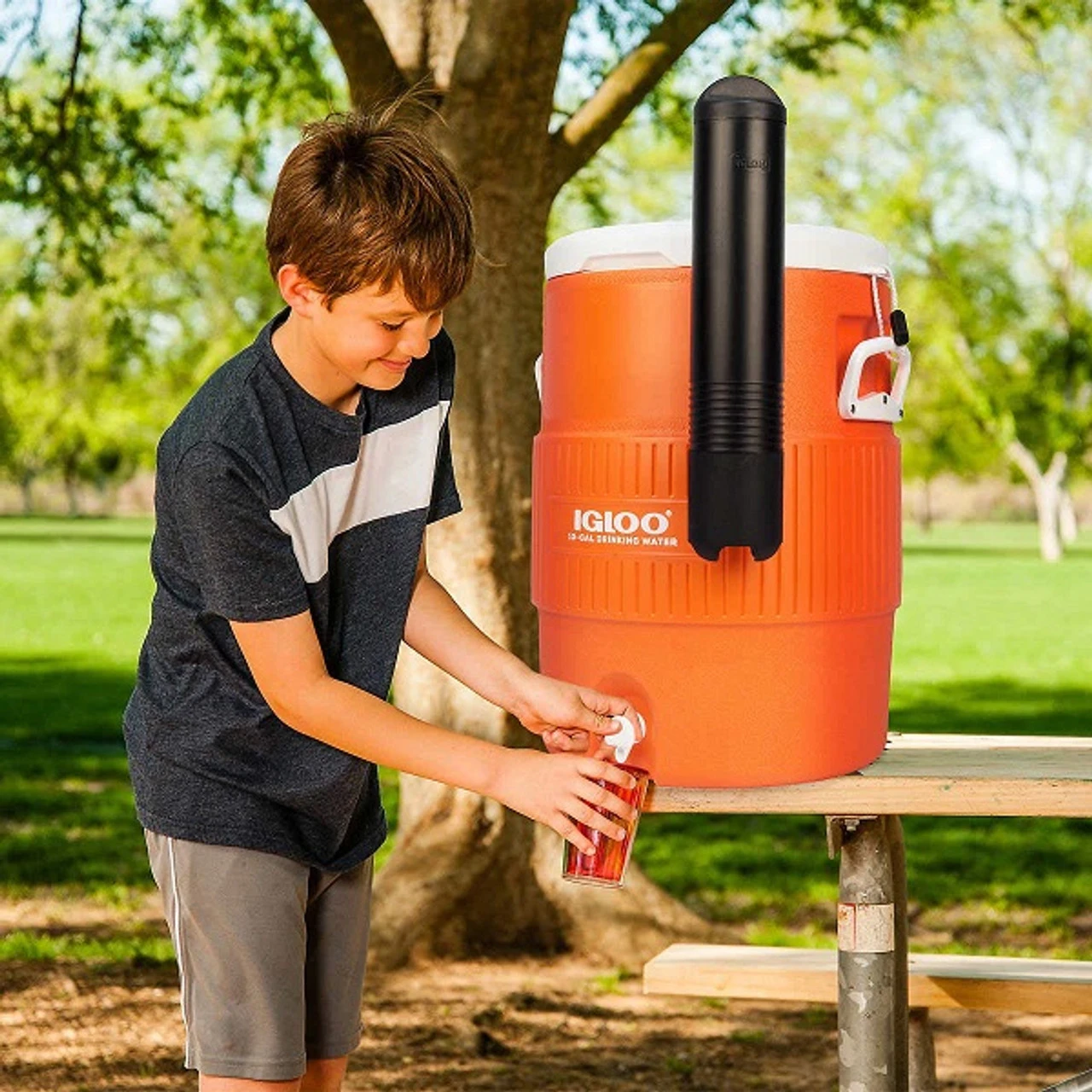 IGLOO 10 Gallon Seat Top Commercial Water Cooler & Cup Dispenser 37.5L 2 IGLOO 10 Gallon Seat Top Commercial Water Cooler & Cup Dispenser 37.5L - Image 2